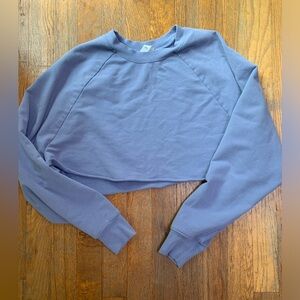 - Alo Cropped Sweatshirt